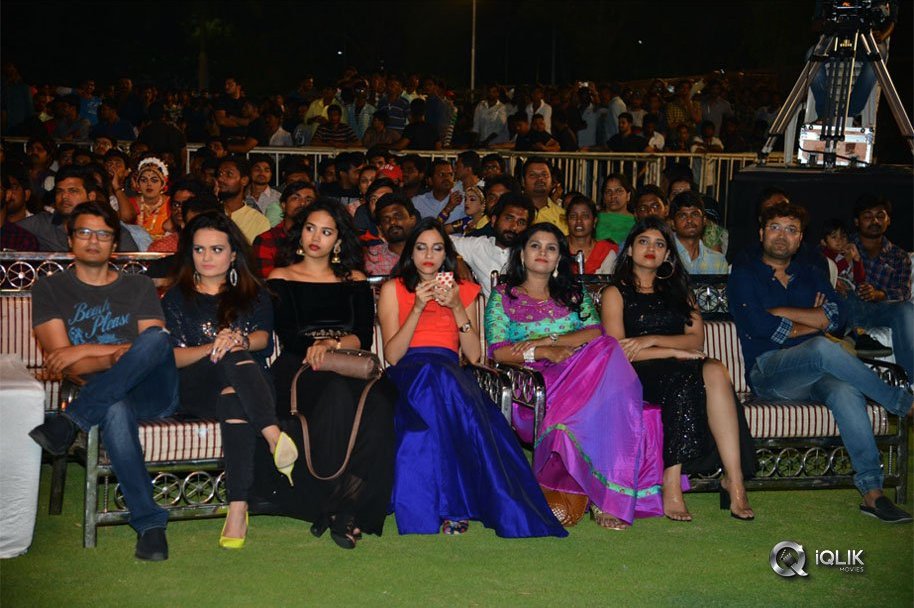 Chal-Mohan-Ranga-Pre-Release-Function-Photos